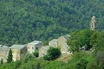 Ampriani