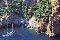 Scandola